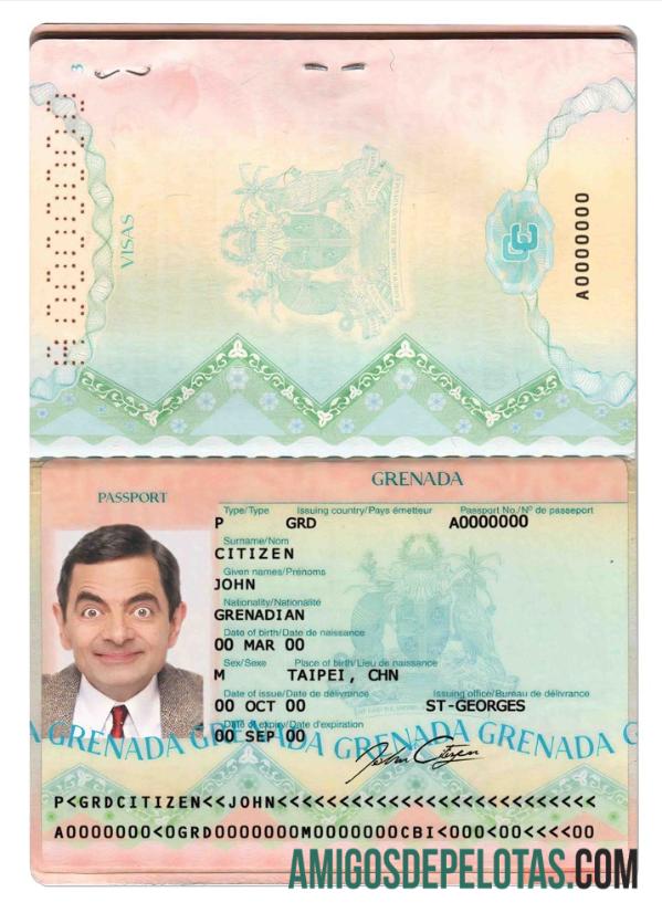 Passaporte de Granada baixar para verificação